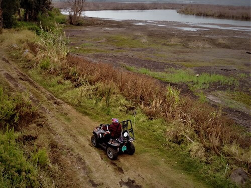 טרקטורוני כלנית